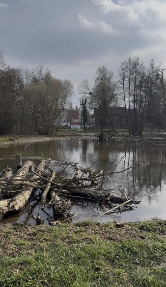 Umfangreiche Renaturierungsmaßnahme an der Alme in Büren fertiggestellt. © Kreis Paderborn, Diana Ramme